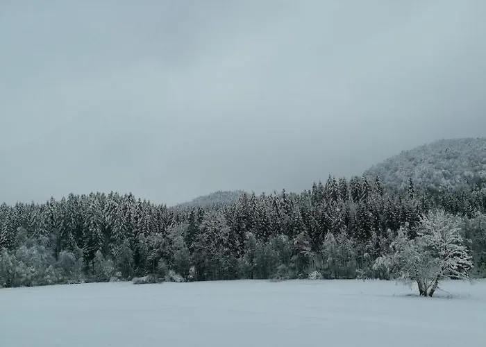 Schwarzwald Appartement