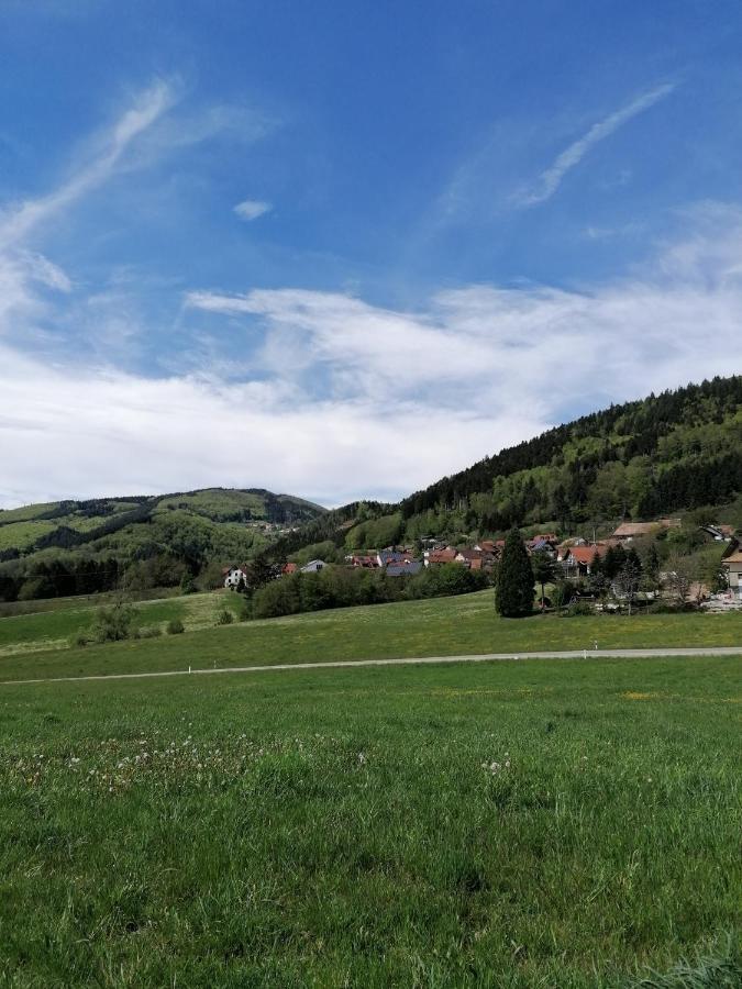 Apartment Schwarzwald *